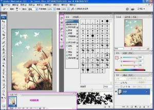 绘图软件 从画笔到数字化创作的革新